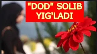 MENING BITTA ARMONIM BOR.../TA'SIRLI VOQEA/