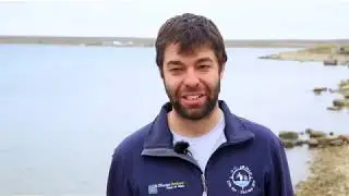 Measuring greenhouse gas exchange in the Arctic