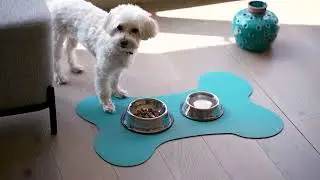 Dog Feeding Mat