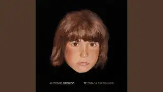 Te Estaba Esperando