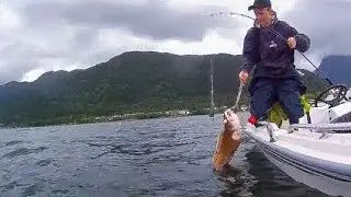 Fishing in Hardanger #4 | June 2017 | Artsfiske i Hardanger