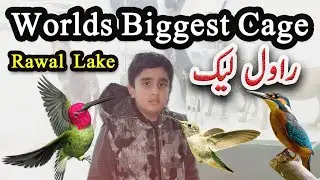 Pakistan largest bird cage | LAKE VIEW PARK || REHAN AT RAWAL LAKE VIEW POINT ||