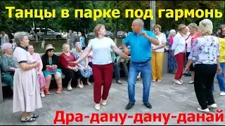 1634 Народные танцы под гармонь Цыгане едут Дра-дану-дану-данай Бабка Любка сизая голубка город Орел