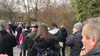Wettstai Clique Marschiebig G 80