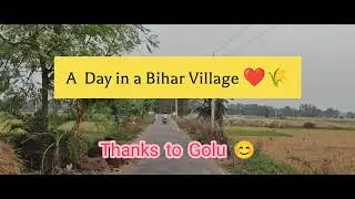 Real Bihar Village Life | Culture, Nature & Agriculture fields #shorts   #BiharVlog #SimpleLiving