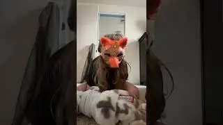 A fox adopts, a baby wolf and it gets a shift  #wolf #fox ￼