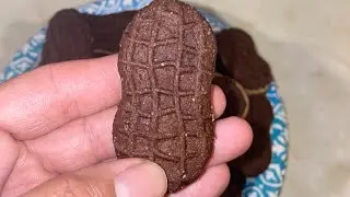 Homemade Chocolate Nutter Butter Cookies
