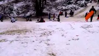 sledging on mousehold!