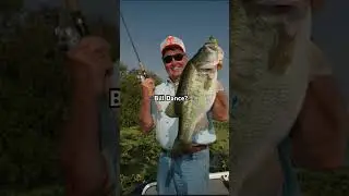 Who is it?🎣👀 #fishing #fishingshorts #fishingislife #jesus #jesuslovesyou