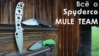 Spyderco Mule - идеальный ножевой бизнес-проект