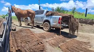Construindo a baia do zemu  desap&eacute; 