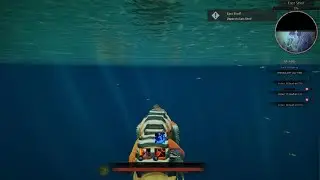 Map exploring Arazoa Aquatica