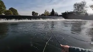 Dear Fish, I&rsquo;m Back - River Vah, Slovakia 🇸🇰 @flyfishingslovakia7872