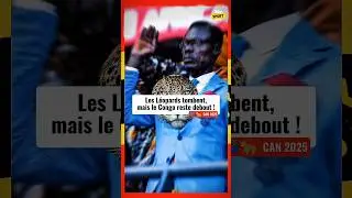 🇨🇩🐆 CAN 2025 : Les L&eacute;opards tombent, mais le Congo reste debout ! 💙🔥#shorts