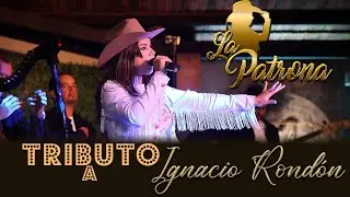 Daniela González | Cover Tributo a Ignacio Rondon