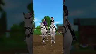 #horses #horse #starstablehorses #sso #starstableonlinehorses #starstable #starstableonline