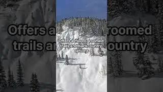Top 5 Places to Snowshoe in Colorado #snowshoe #winter #colorado #trails #sports