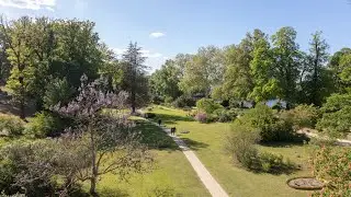 Neupflanzungen im Park Babelsberg l SPSG