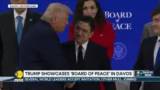 'Board of Peace' Realities /Lt Col Daniel Davis