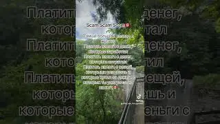 #canadalife #налоги