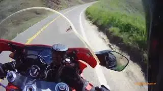 After losing two friends I decided to ride￼ slow and this happened