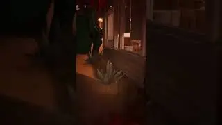 #coopgaming #horror #gaming #deadisland2 #deadisland2ps5 #gameplay #deadisland #deadisland2live
