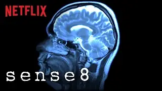 Sense8 | Brainwave Symphony [HD] | Netflix