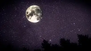Me or the Moon - Matthew Shelton (with Nora Barton)