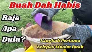 Ini Baja Penting Selepas Buah Tinggal 10% - NPK 18-18-18