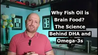 Why Fish Oil is Brain Food? The Science Behind DHA and Omega-3s