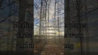 🪾🥾🌲🍁🐿️#fulltimetravel #naturewalks #shortsvideo #natureheals #myhappyplace