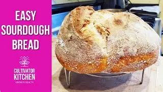 EASY Beginner Sourdough Bread 🍞 No Kneading & No Equipment!