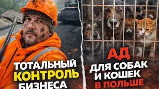 ТОТАЛЬНЫЙ контроль в ПОЛЬШЕ | АД для ЗВЕРЕЙ | НЕ берите такой КРЕДИТ!