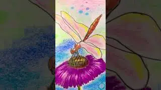 STEP BY STEP TUTORIAL FOR DRAWING AND COLOURING IN DRAGON FLY ( senior batch)