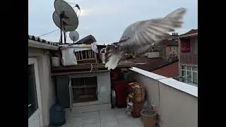 5 OCAK 2026 MAVİ ÖNTEPE