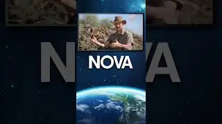 NOVA: Mammals Origins | The Ancient Creatures That Became Us | Wednesday at 8 PM on OETA