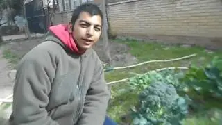 CEE San Martín de Porres   Nos comunicamos con las plantas