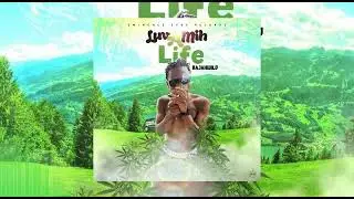 RajahWild - Luv A Mih Life (Official Audio)