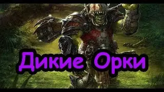 Дикие Орки, Вуррзаг. (Легенда, Смертные империи.) TW Warhammer 2. ч.13