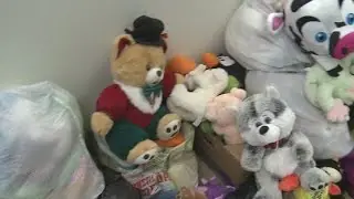 Rio Rancho Police 'overwhelmed' with stuffed animals