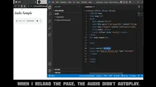 Audio Autoplay Attribute not working in Google Chrome problem fixed | HTML5 | Audio Tag