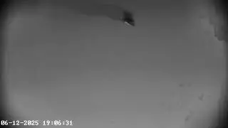 Bucasia Batnado at Dusk &ndash; Nature&rsquo;s Craziest Flying Fox Spectacle