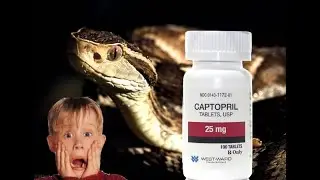 Pharmacognosy Brazilian pit viper venom extraction