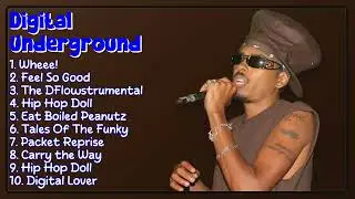 Digital Underground-Essential hits roundup mixtape for 2024-Greatest Hits Lineup-Consonant