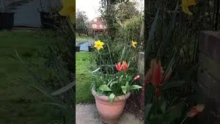 SUPER BEAUTIFUL EVENTS, IN LONDON,U.K. 