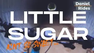 Little Sugar Ain't So Sweet | Little Sugar Trail Highlights