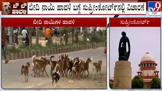 Stray Dogs Supreme Court Hearing: ಬೀದಿ ನಾಯಿ ಹಾವಳಿ ಬಗ್ಗೆ ಸುಪ್ರೀಂಕೋರ್ಟ್​ನಲ್ಲಿ ವಿಚಾರಣೆ!