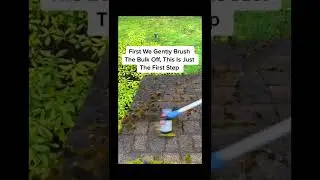 How To Get Rid Of Moss