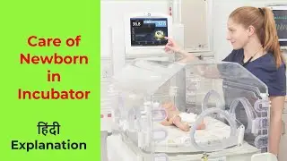 Care of Newborn in Incubator in Hindi || Nirmla Kumari  || #Nursinginnovationhindi