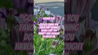 ✨ Finding Favor Like Esther | Esther 2:15,#Esther215, #BibleVerse, #WordOfGod, #DailyScripture,